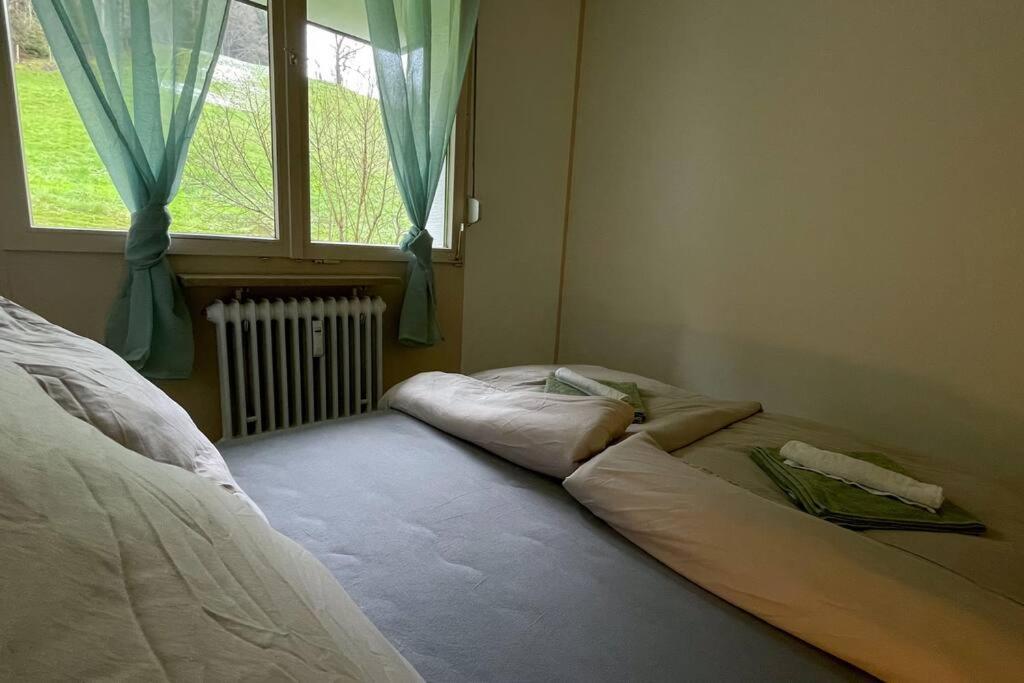 Shine Apartment Oberstaufen Buitenkant foto