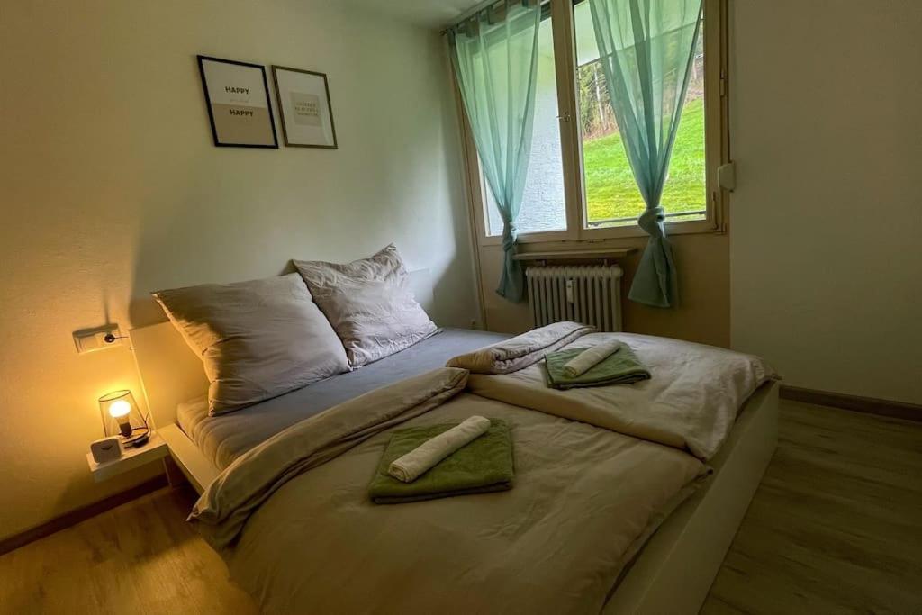 Shine Apartment Oberstaufen Buitenkant foto